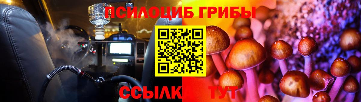 Галлюциногенные грибы Psilocybe  Вход с VPN  Ахтубинск 